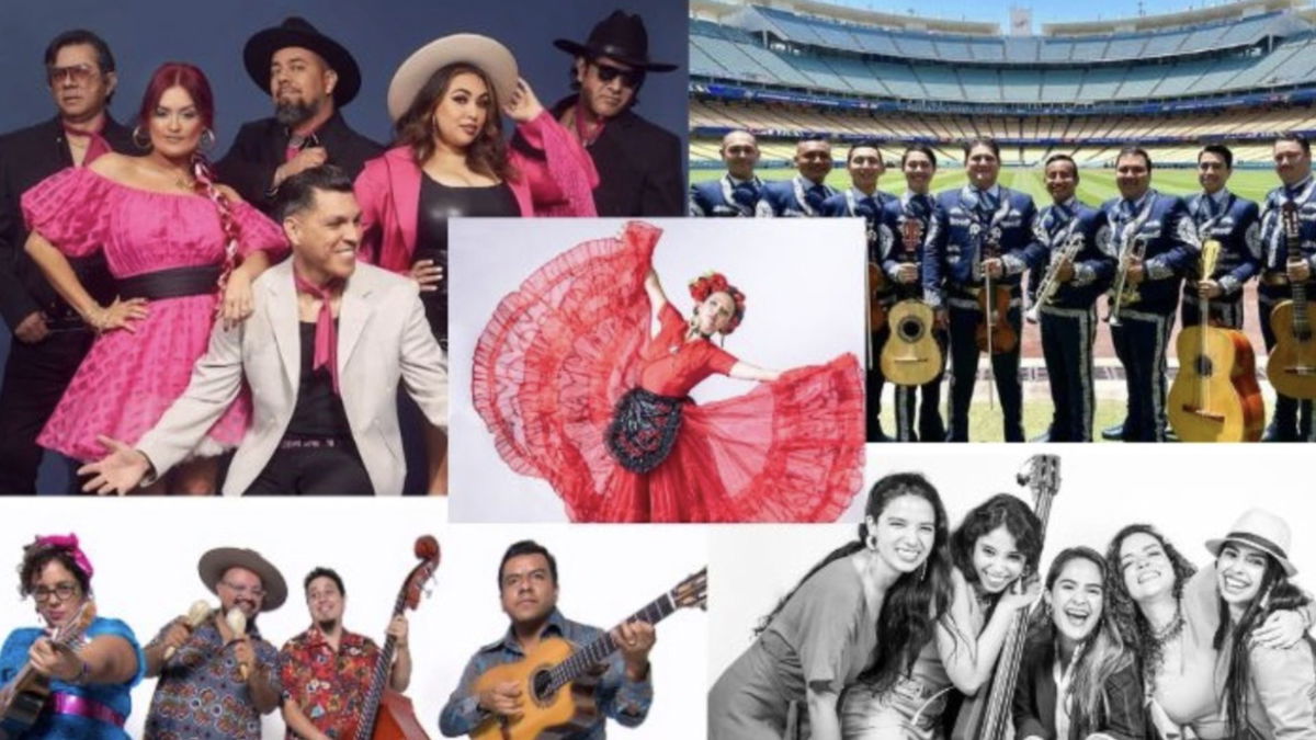 Latin American musicians and dancers are at the heart of the Viva 2024-25 programme