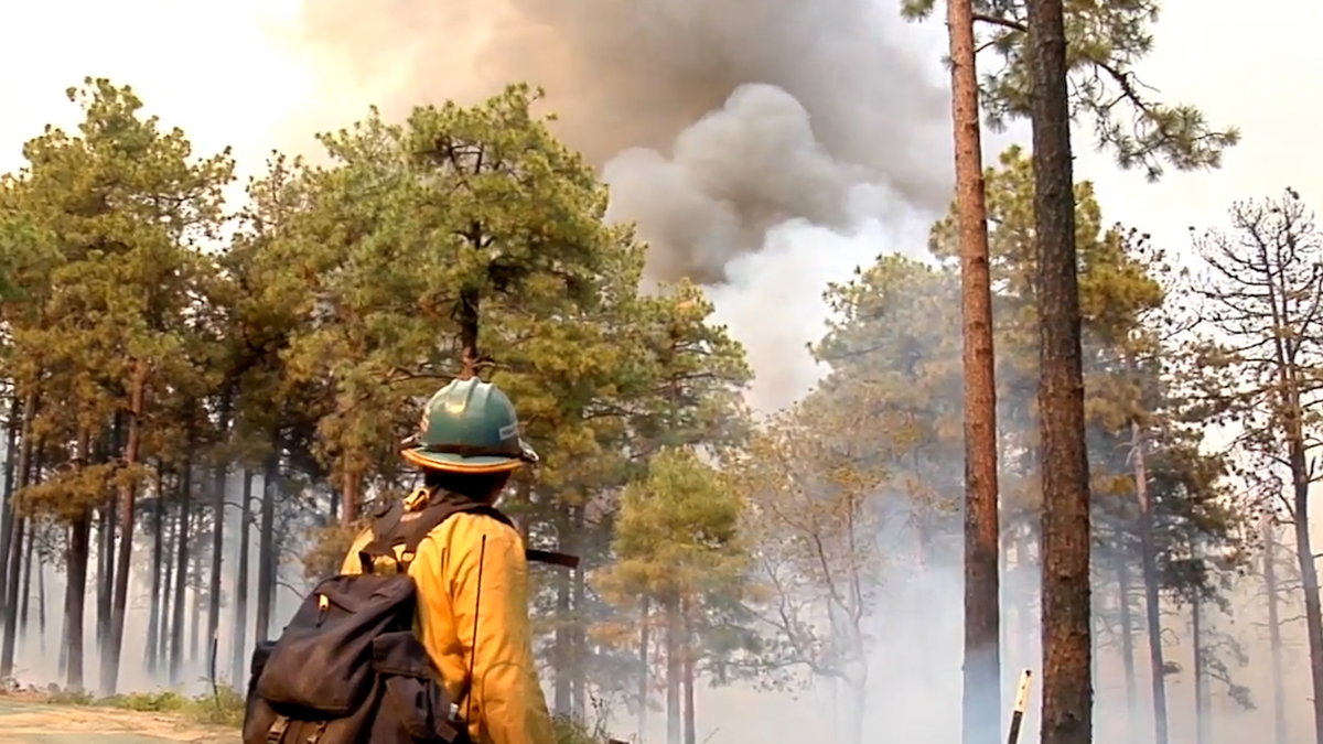 Race is on to get wildland firefighters better pay