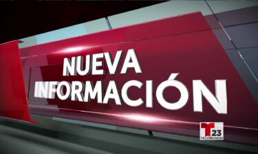 Investigación en la matanza de casi 80 animales lleva al descubrimiento de un extenso arsenal y amuniciones