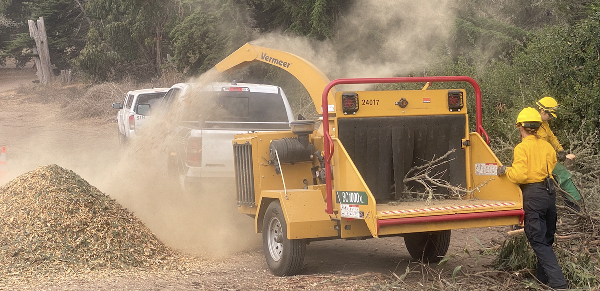 39 projects are set as part of a brush clearing and fire prevention project at the Douglas Family Preserve