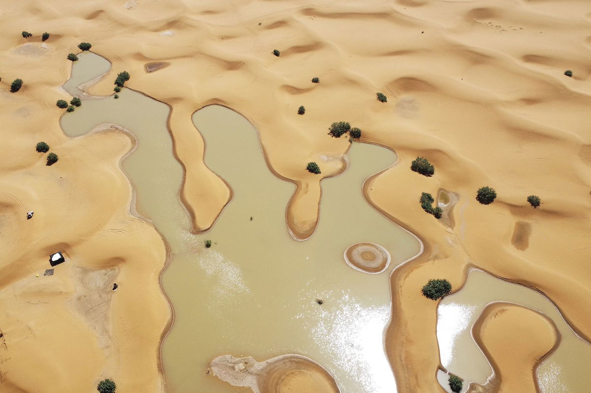 The Sahara Desert flooded for the first time in decades. Here’s what it ...