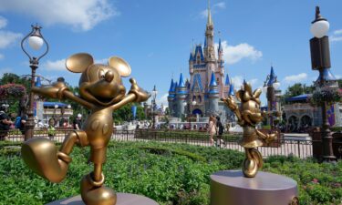 The Cinderella Castle is seen at Walt Disney World.