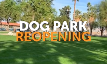 En Palm Desert ya reabrieron el parque para perros del centro cívico