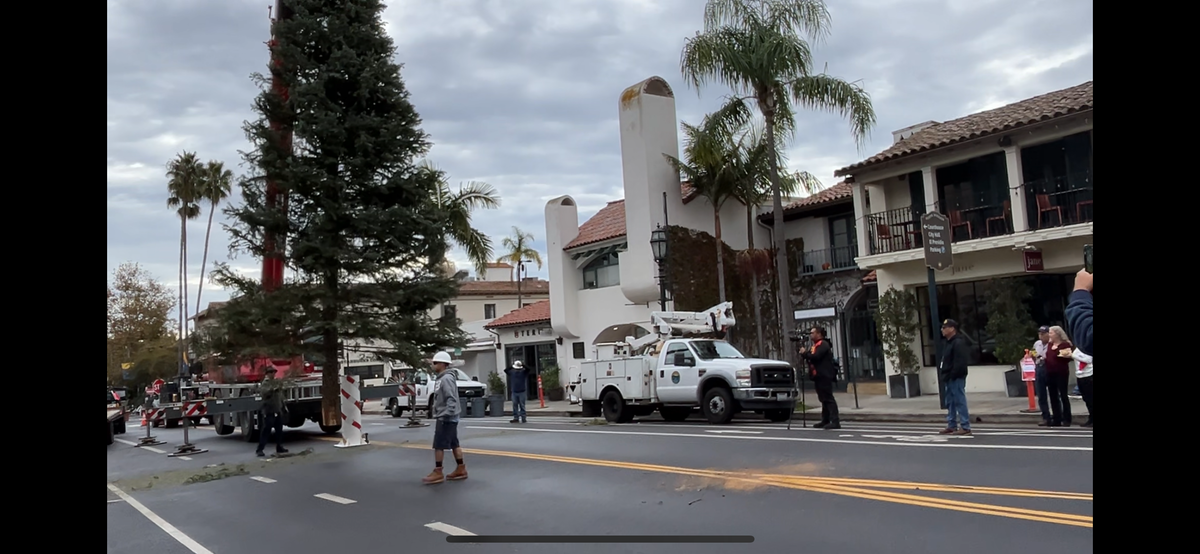 The annual Santa Barbara Christmas tree has arrived on State Street.