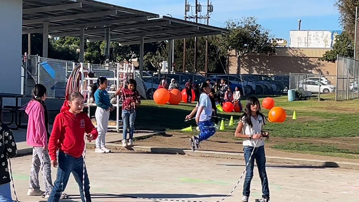 Kids resiliently adapt to recess without playground equipment.