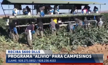 Programa de Alivio para Campesinos por “Campesinos Sin Fronteras”