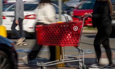 Target expects a sluggish holiday season.