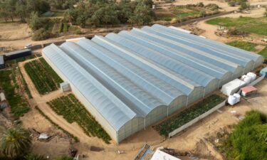 A prototype farm in Bada