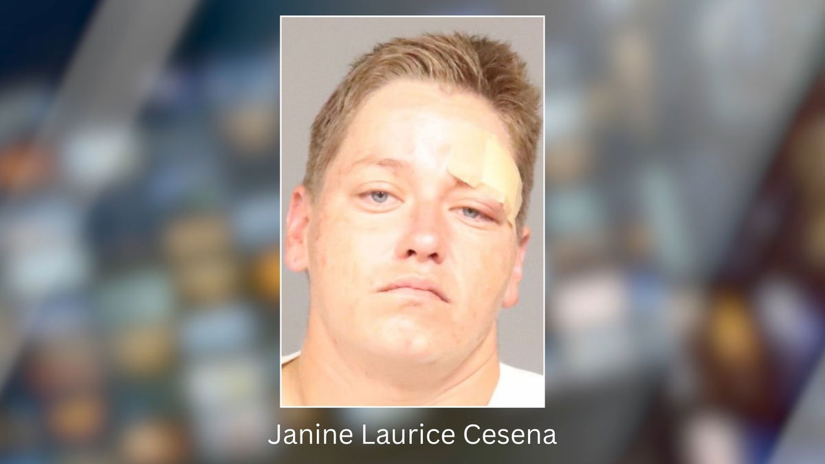 Janine Cesena convicted in connection with 2023 parking lot baseball bat attack in San Miguel