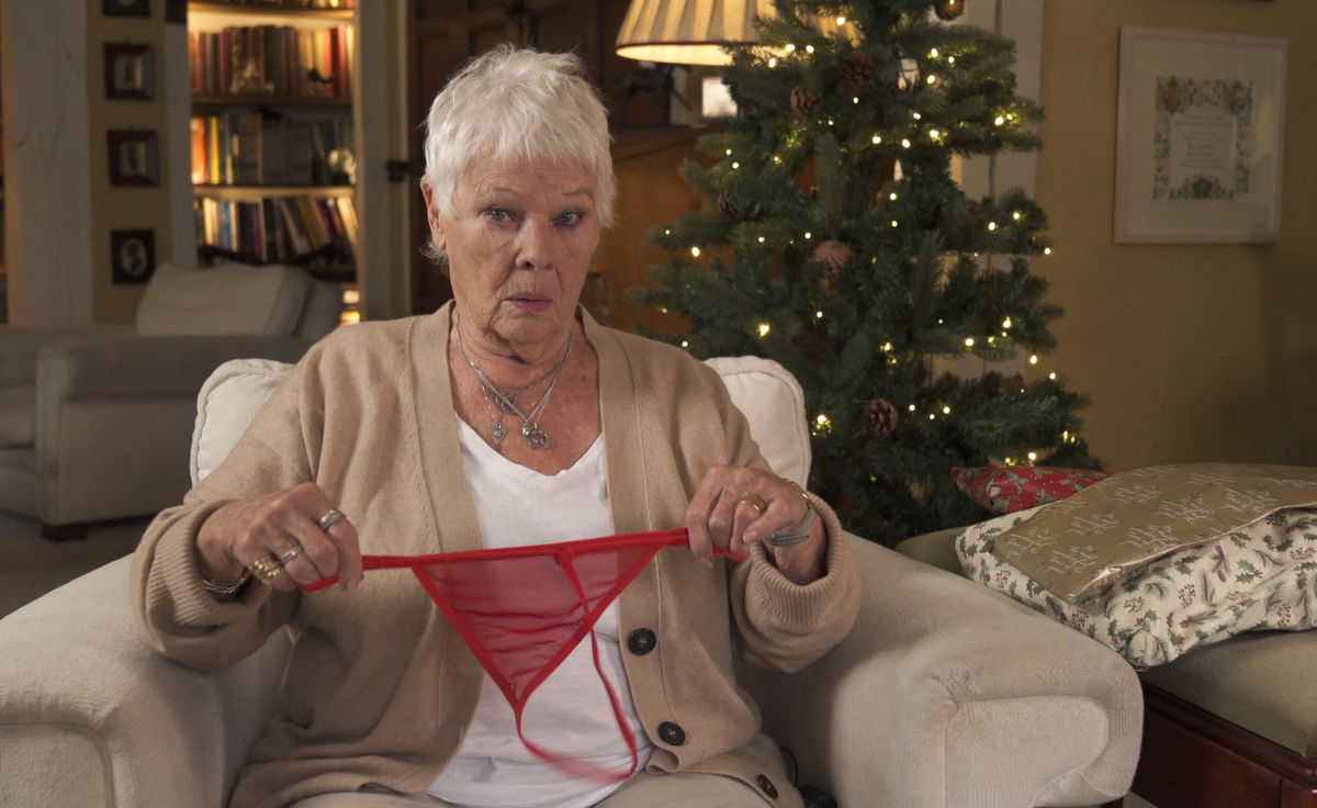 Actress Judi Dench receives unusual gift in hilarious ShelterBox campaign