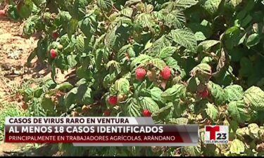 Al menos 18 trabajadores agrícolas del condado de Ventura se han infectado con una rara enfermedad