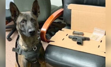 Un agente de la unidad canina K-9 ayudó a la policía a encontrar un arma cargada