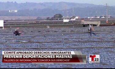 Se aprueba la creación de un comité para abogar por los derechos de los inmigrantes en el Condado de Monterey