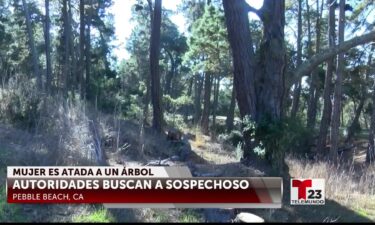 Mujer es atada contra su voluntad a un árbol mientras daba un paseo matutino en Pebble Beach