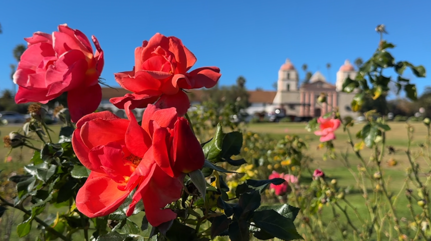 City of Santa Barbara calling volunteers for annual Pruning Day at Mission Historical Park Saturday