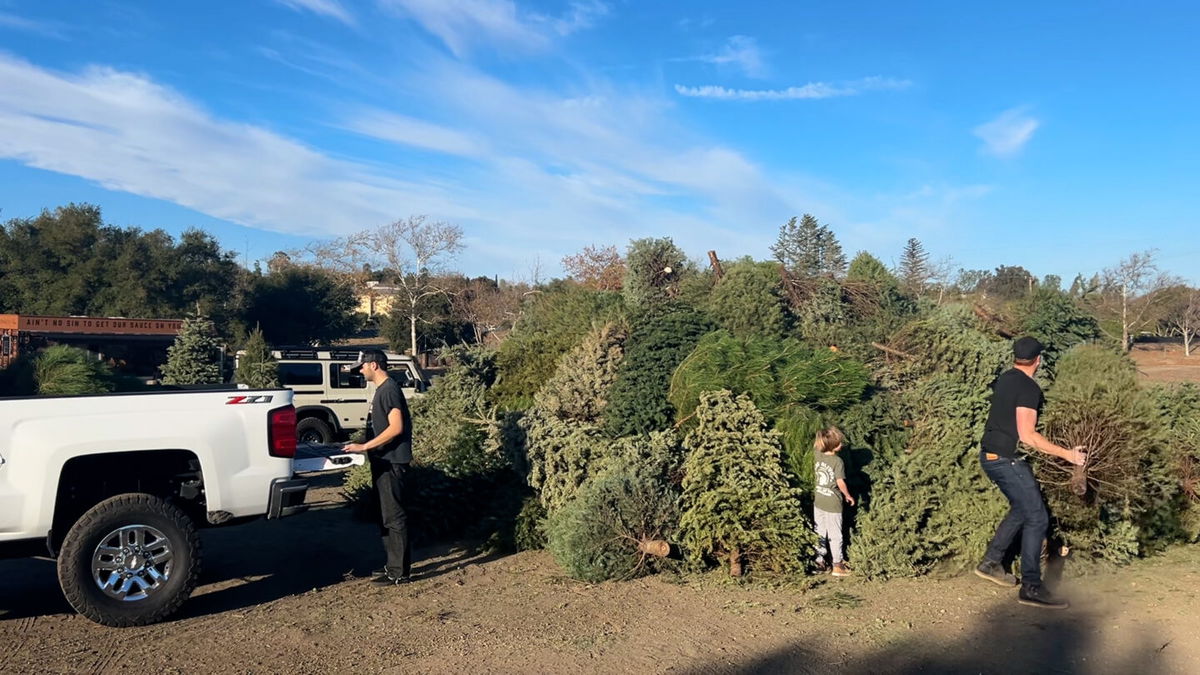 33rd annual Christmas tree burn closes Julefest in Solvang News