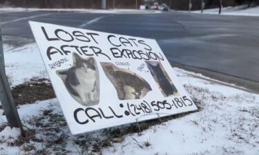 A young married couple is mourning the loss of their beloved cat Ambrose. He survived several weeks outside before Orion Township firefighters found him in the rubble left behind the explosion at Keatington New Town Condominiums.