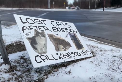 <i>WXYZ via CNN Newsource</i><br/>A young married couple is mourning the loss of their beloved cat Ambrose. He survived several weeks outside before Orion Township firefighters found him in the rubble left behind the explosion at Keatington New Town Condominiums.