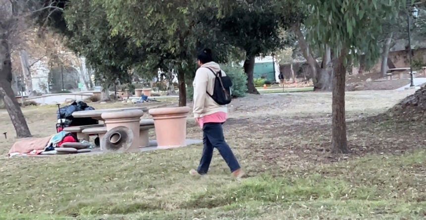 Volunteers wake up dark & early for 2025 Homeless Point-In-Time Count