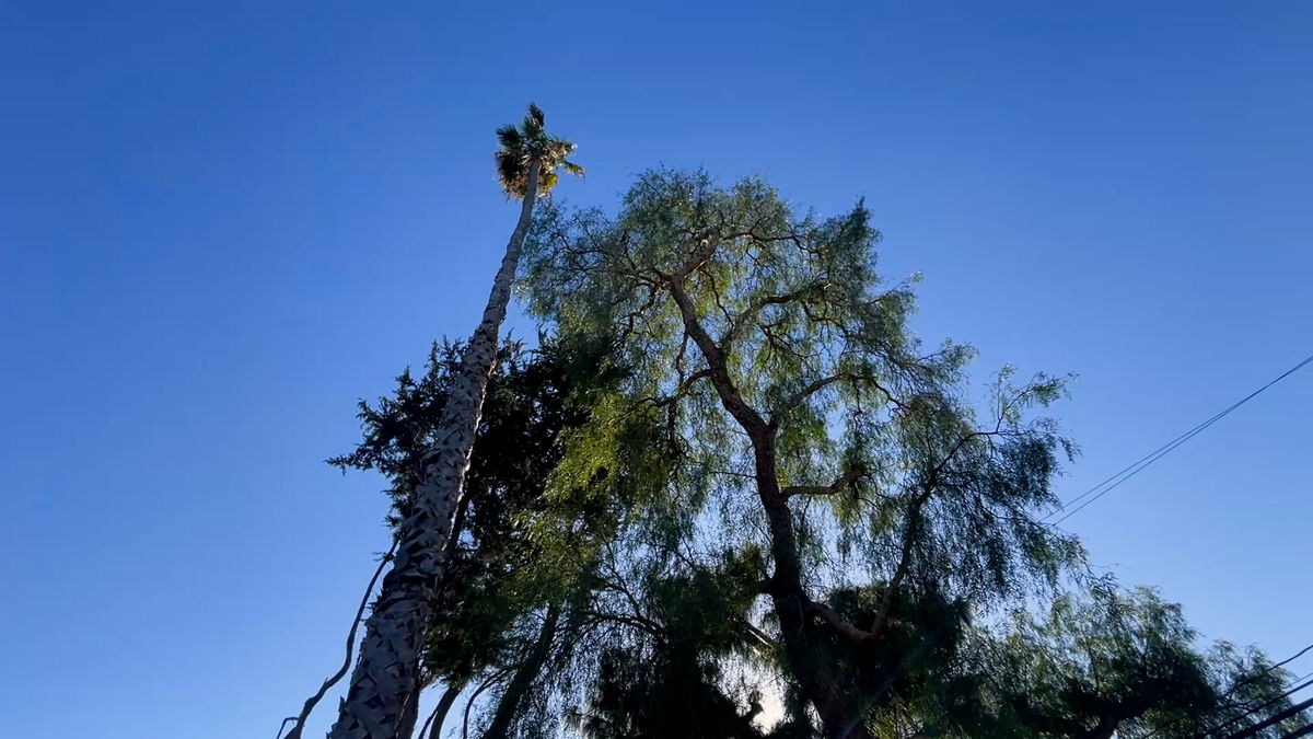 Heavy winds knock out power in Camarillo Heights