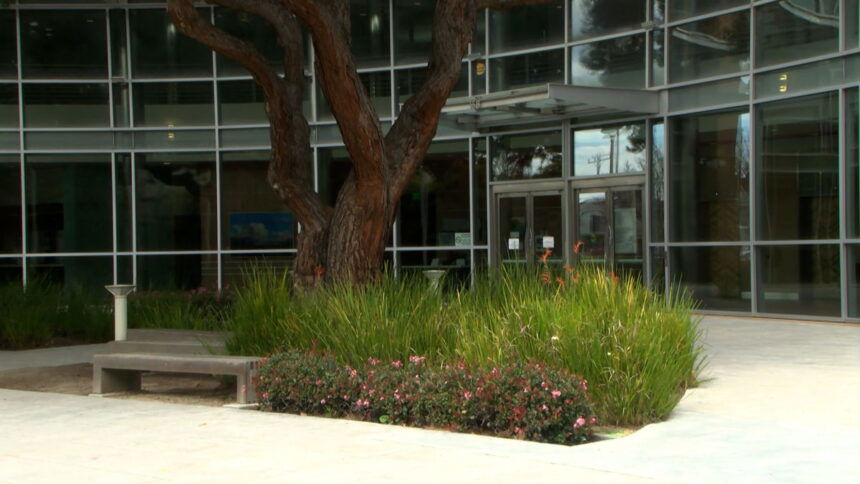 Los Supervisores del Condado de Monterey Solicitan al Comité de Derechos Civiles Examinar un Posible Programa de Ingresos Garantizados