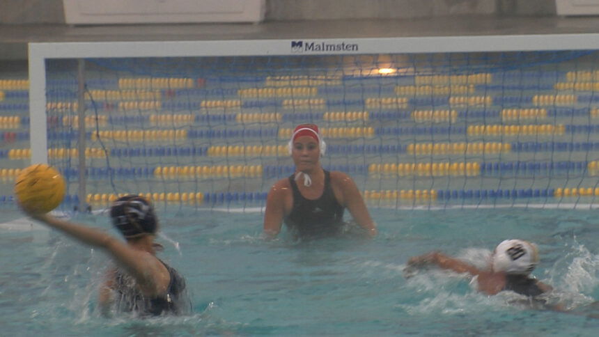 DP edges JSerra in quarterfinal: CIF playoff water polo and soccer results