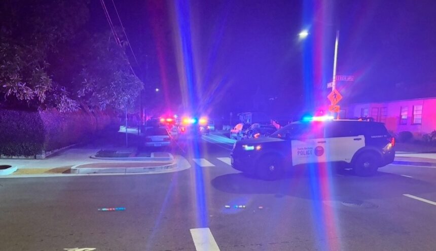 Santa Barbara Police respond to domestic violence