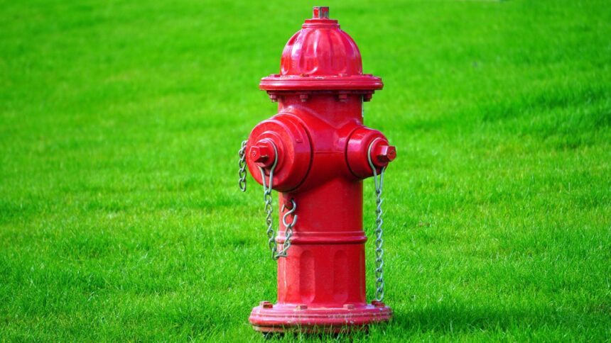 Man arrested for stealing fire hydrant & other charges after car chase in Port Hueneme Saturday morning