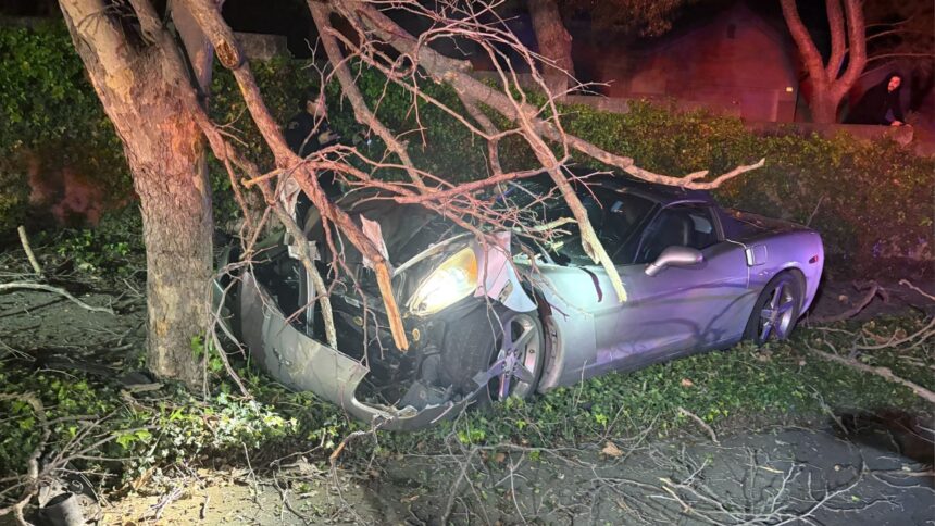 Driver hurt after speeding in San Luis Obispo Saturday night