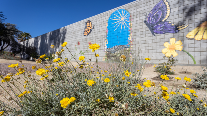 Mañana se celebrará en Cathedral City en Festival Anual de Mariposas