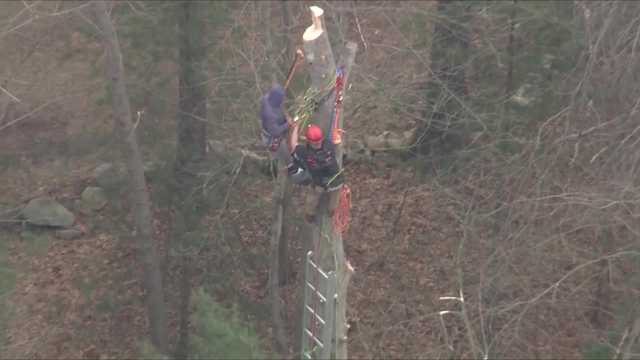 Crews rescue injured worker trapped nearly 50 feet up in tree