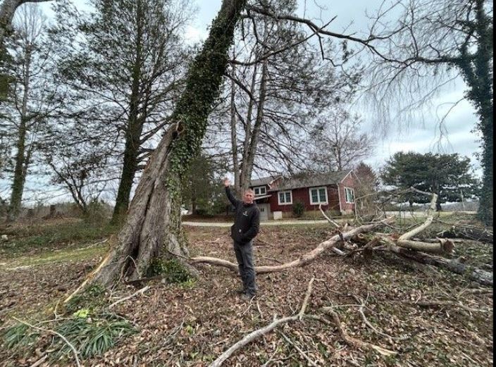 Helene-impacted homeowners worry about more trees falling with high winds forecasted