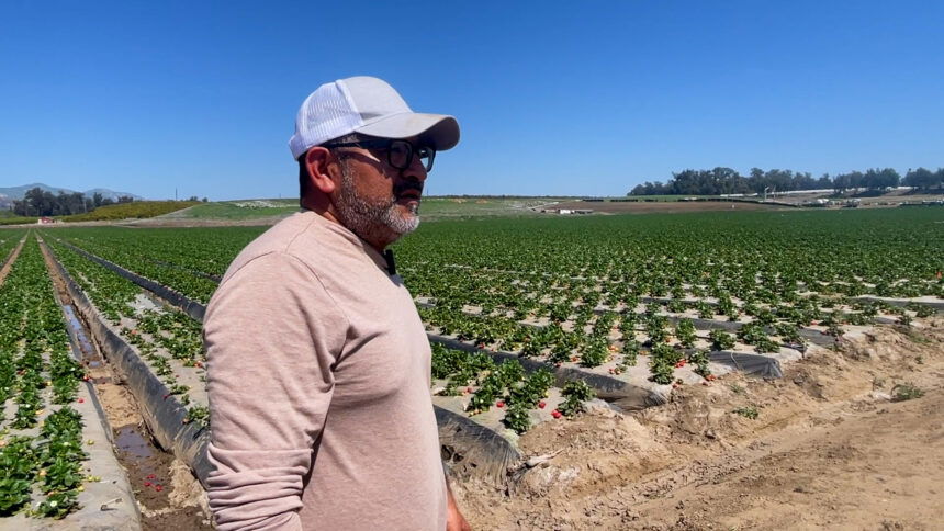 Oxnard workers and business owners in limbo due to uncertainty surrounding tariffs