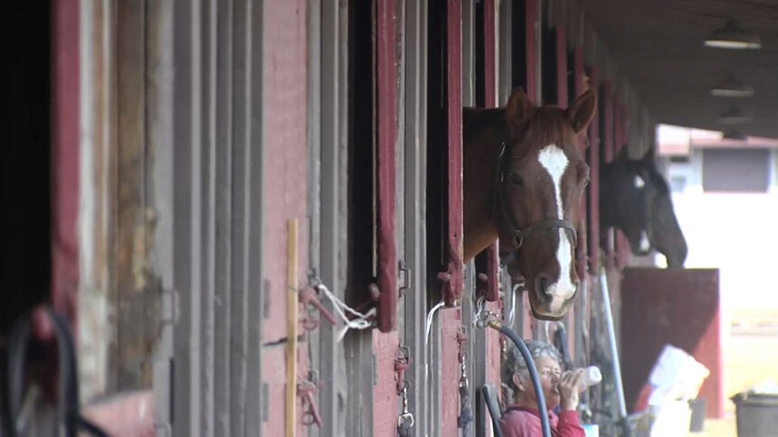 Santa Barbara Equestrian Group Feels Shut Out of Earl Warren Showgrounds Master Plan