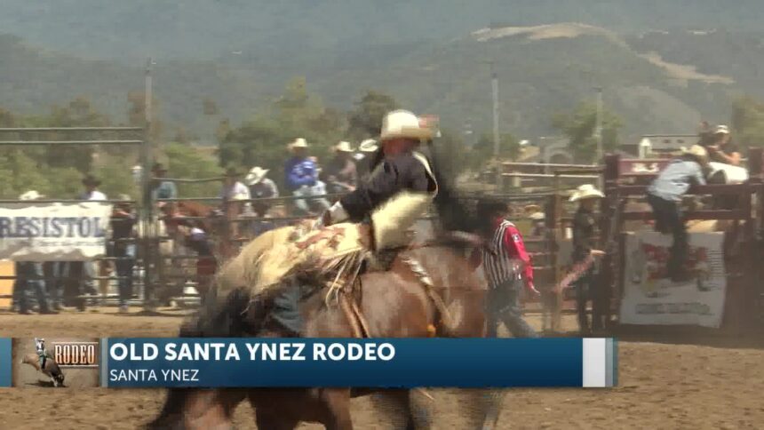 Old Santa Ynez Days Rodeo Draws Top Cowboys and Big Crowds