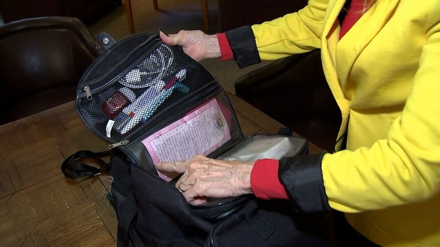 ‘We Just Had to Get Out’: LA Wildfire Survivors Stress Emergency Planning