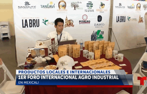 Promueven productos artesanales de todo el mundo