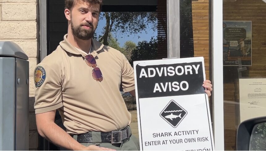 Shark activity advisory sign comes down at Gaviota State Beach
