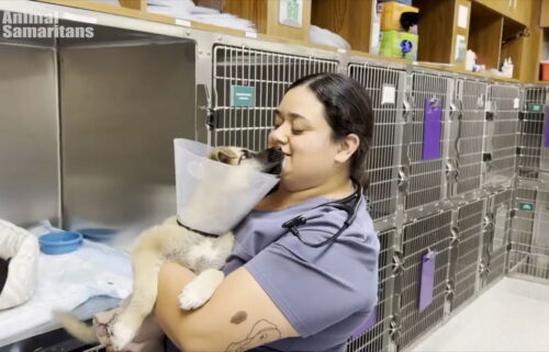 Subvención ayuda a Animal Samaritans a brindar segundas oportunidades a mascotas en riesgo