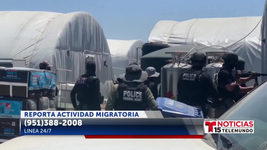 El alcalde de Coachella reacciona ante la redada multiagencia en plantaciones de marihuana en el este del Valle