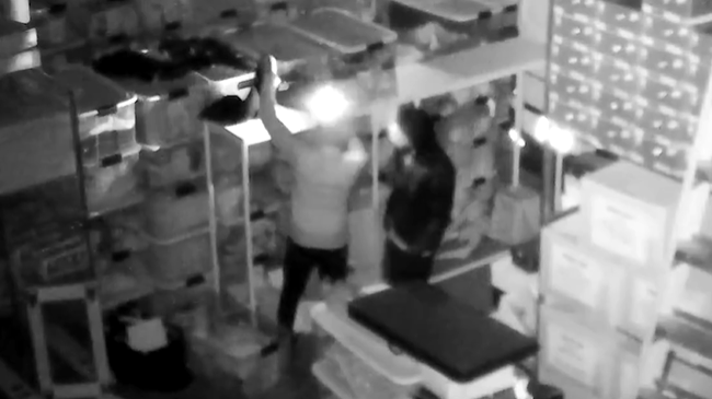 5 accused of stealing rare sneakers from Marcus Jordan’s warehouse in Florida during hurricane