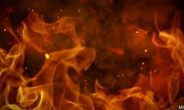 Se incendiaron varios árboles a un costado de la I-10 en Rancho Mirage