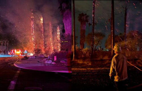 Palmeras se incendiaron en Palm Desert el jueves por la noche