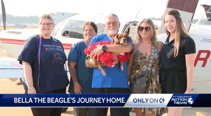Butler County rescue dog, Bella, flies cross-country to begin new life as service dog