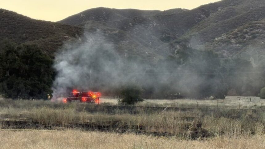 Vegetation fire quickly put out in Santa Margarita