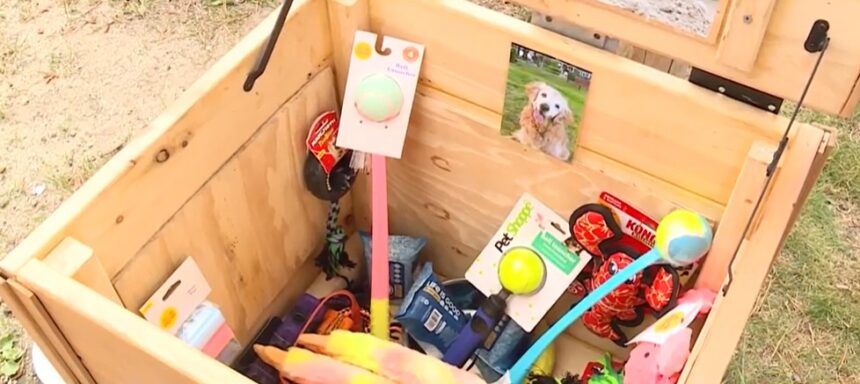 Toy box left at Maine beach in memory of golden retriever