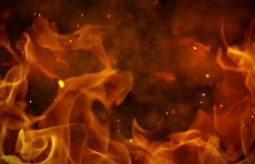 Se incendiaron varios árboles a un costado de la I-10 en Rancho Mirage