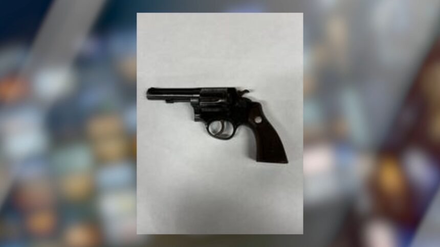 Santa Maria Juvenile Arrested on Weapon-Related Charges Tuesday