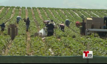 El comisionado agrícola revela la mayor producción histórica en el Condado de Monterey