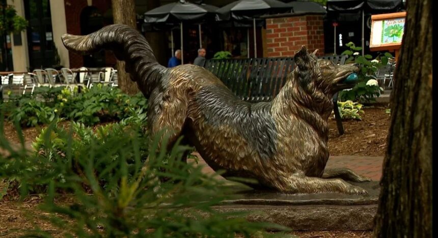 Statue honors Chaser, known as ‘the world’s smartest dog’